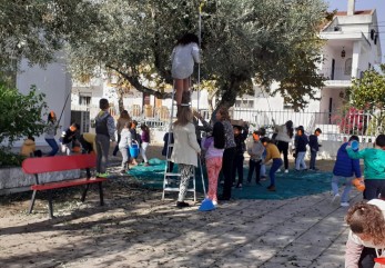 Apanha da azeitona na escola da Vista Alegre